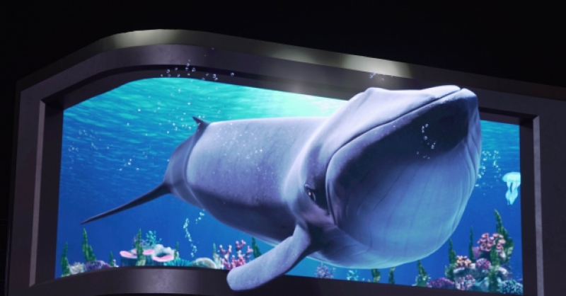 在金沙灘啤酒城，那些讓你眼前一亮的驚喜