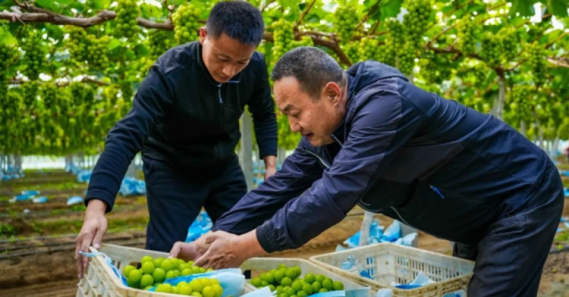 “農旅文”融合，繪就鄉(xiāng)村振興新圖景